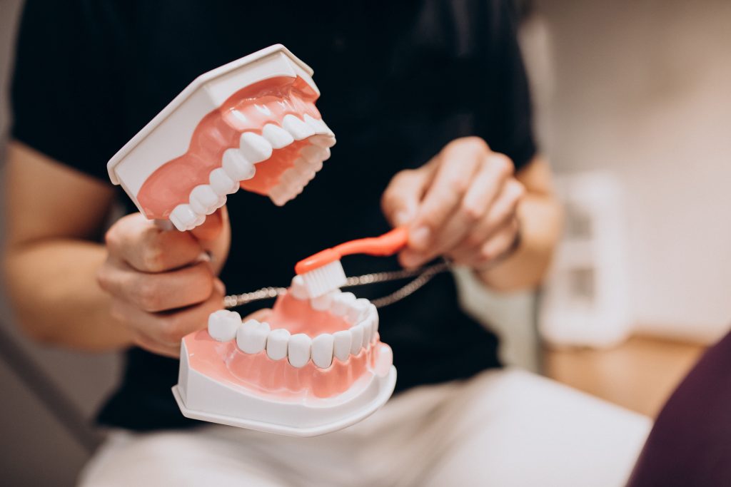 Profissional demonstrando escovação correta com escova em modelo de dentes, como orientação preventiva oferecida na Sorridents Porto Alegre.